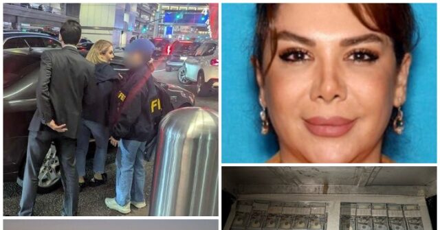 High Rolling Iranian Businesswoman Nabbed at Los Angeles Airport, Accused of Arms Trafficking (U.S. Attorney for Central Dist. of California)