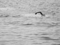 Triathlete Drowns During Ironman Competition in Texas