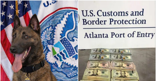 Police Dog 'Pub' Helps Seize $75,000 in Illicit Cash at Atlanta Airport