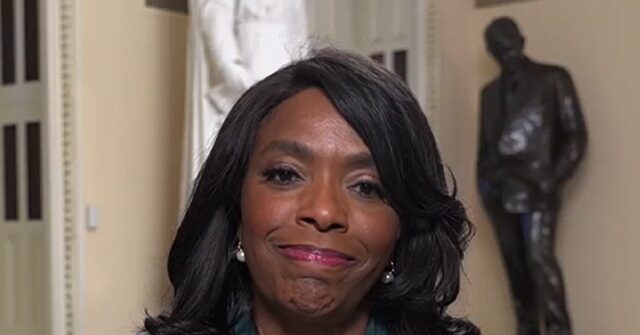 Dem Rep. Sewell: GOP Trying to 'Steal the Next Election'