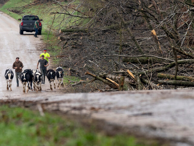 VIDEO: 20 Tornadoes Confirmed as 50 Million Hit by Severe Weather Across Midwest