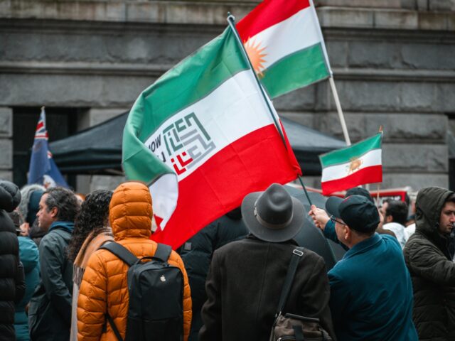 albert-stoynov-suuJUYSn9no-unsplash