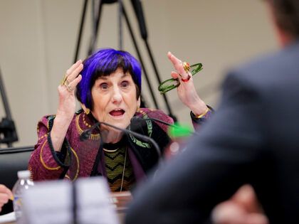 WASHINGTON, DC - APRIL 20: U.S. Rep. Rosa DeLauro (D-CT) questions Interior Secretary Doug