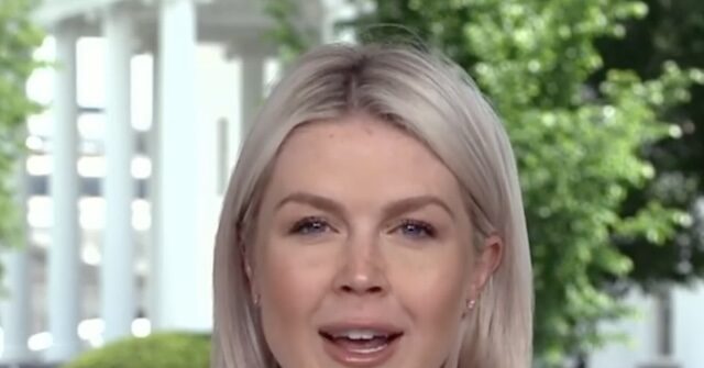 Leavitt: Southern Poverty Law Center 'Criminal Organization, Run by Fraudsters'