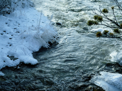 Icy Stream in Winter