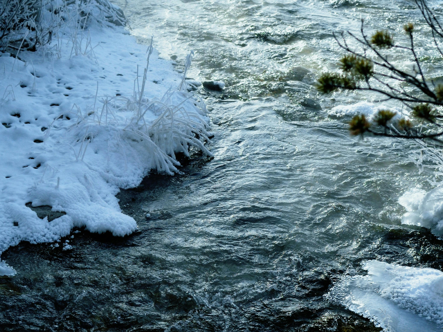 Icy Stream in Winter