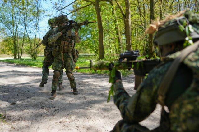 Royals boost Dutch military volunteers as Europe looks to ramp up troop ...
