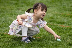 Three killed in Germany when wind fells tree during Easter egg hunt
