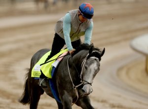 Silent Tactic scratched from Kentucky Derby; Great White now in