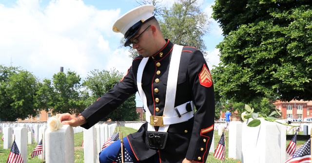 Honoring Heroes: America Remembers the Braveheroes of Memorial Day