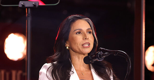 Tulsi Gabbard Working to Declassify Controversial FISA Court Opinion