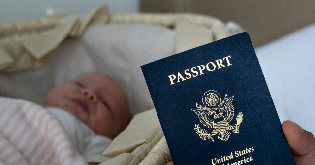 breitbart.com - Warner Todd Huston - House Panel to Probe Illegal Visa Use by 'Birth Tourism' Businesses