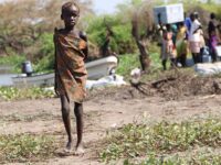 Strait of Hormuz Crisis Sparks Fears of Global Famine