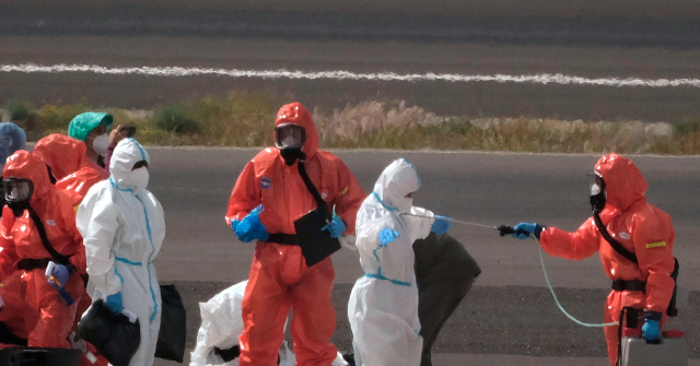 Spain Disputes U.S. Count of Hantavirus Cases From Cruise Ship