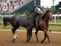 WATCH: Great White Scratched from Kentucky Derby After Throwing Rider in Scary Scene