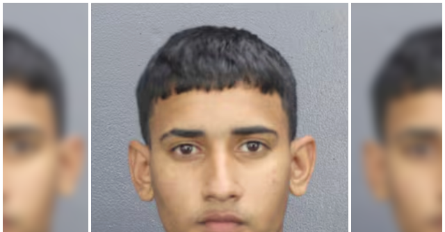 Migrant Charged with Attempted Murder After Opening Fire at Florida Shopping Mall