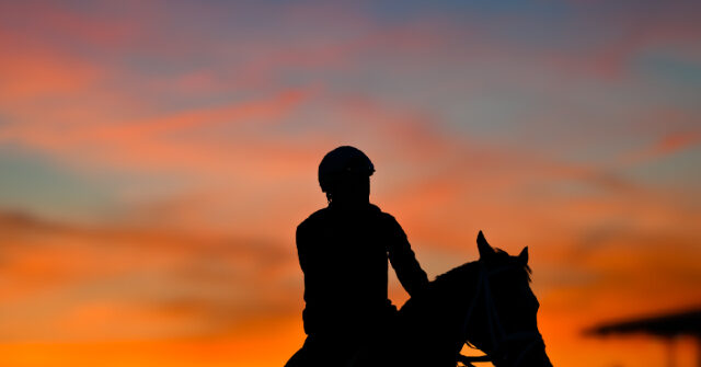 Horse Dies After Crossing the Finish Line in His First Career Race