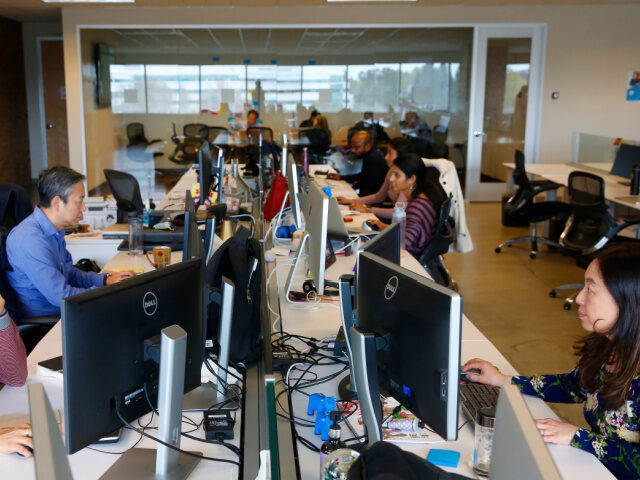 Engineers busy at work at their computer stations at the headquarters of Accela in San Ram
