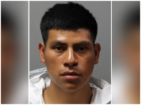 ICE: Illegal Alien Arrested for Setting Fire to 10 Cars in Long Island, New York