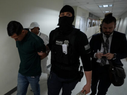 Dozens of immigrants are detained by US Immigration and Customs Enforcement (ICE) agents i