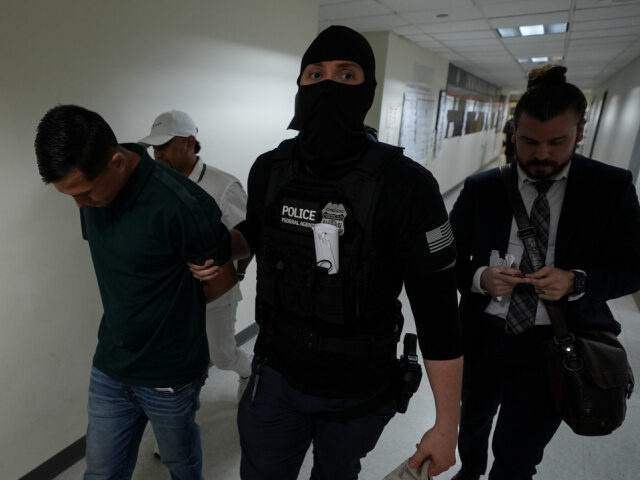 Dozens of immigrants are detained by US Immigration and Customs Enforcement (ICE) agents i