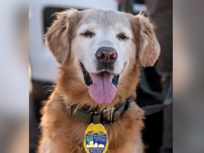 WATCH — Florida K-9 Rescues Missing Autistic Teen After Sniffing His Sock: ‘Good Boy!’