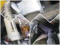 EXCLUSIVE: CBP Officers Seize $4 Million in Cocaine at San Diego Port