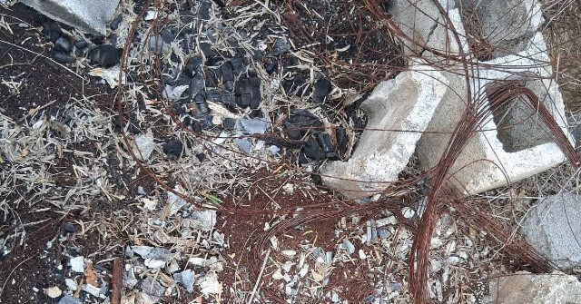 Two Cartel Clandestine Crematorium Sites Found In Mexico near Texas Border