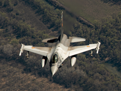 Rogue Ukrainian Drone Shot Down in NATO Airspace, Public Told to Shelter Indoors