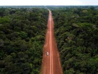 Brazil: Socialists Revamp Highway Cutting Through ‘Planet’s Lungs’ Amazon Rainforest
