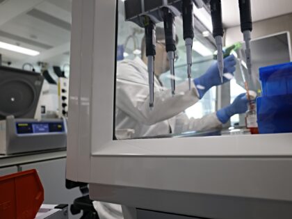 A scientists working in a laboratory, dedicated to cell culture and protein expression for