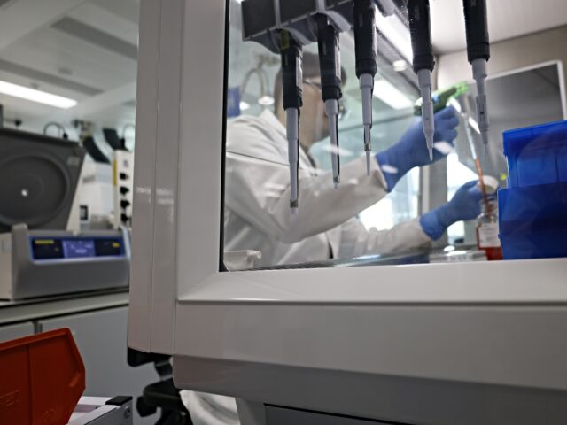 ebola vaccine A scientists working in a laboratory, dedicated to cell culture and protein expression for