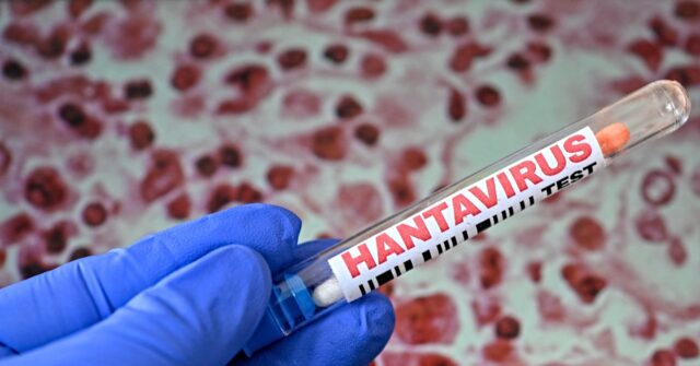 China Blocks Taiwan from World Health Assembly amid Hantavirus Concerns