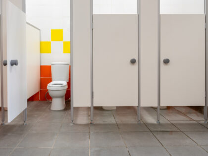 In a clean public restroom, several white stalls are lined up, with a single toilet visibl