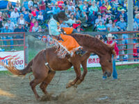 California Dad Blasted for Intercepting T-Shirt Thrown to a Woman at Rodeo