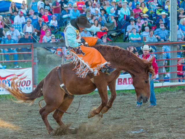 rodeo
