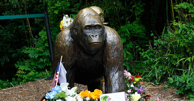 White House Honors 'Legend' Harambe the Gorilla: 'True Patriot'