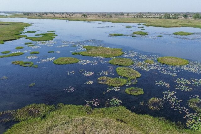 Lake Chad forms the border between Nigeria, Chad, Cameroon and Niger