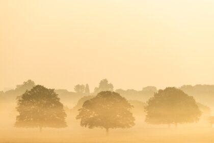 A so-called 'heat dome' of warm air from northern Africa trapped under a high-pr