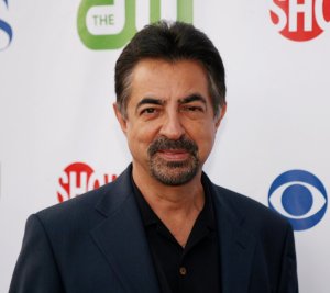 Joe Mantegna drops out of hosting National Memorial Day Concert