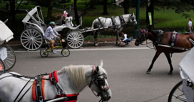 VIDEO – NYC: 18-Year-Old Dies After Being Thrown from Runaway Horse-Drawn Carriage in Central Park