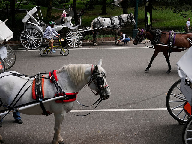 VIDEO – NYC: 18-Year-Old Dies After Being Thrown from Runaway Horse-Drawn Carriage in Central Par