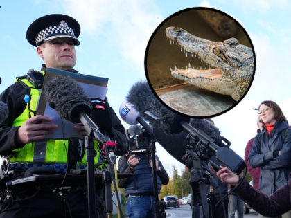 VIDEO — England: Police Release Man Accused of Forcing Toddler into Zoo’s Crocodile Enclosu