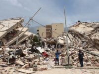 Hero Dog ‘Tsunami’ Rescues 12 People and Counting After Venezuela Earthquakes