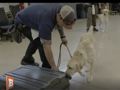 ATF Canine Training
