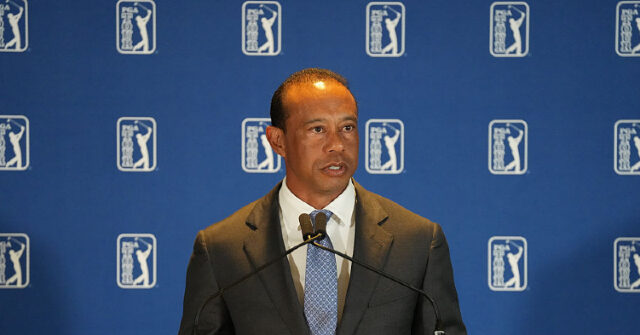 Tiger Woods Makes First Public Look Since DUI Arrest Tiger Woods Makes First Public Look Since DUI Arrest