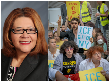New Jersey State Bar Association/Erik McGregor/LightRocket via Getty Images