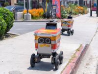 CEO of eCommerce Giant Warns Robots Will Replace Humans in Food Delivery, Other Gig Economy Jobs