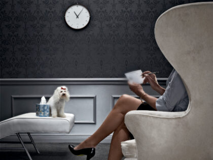 Dog psychiatrist b