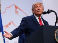 President Trump to Breitbart: Democrats Performing Poorly in Generic Polls Because They’re Ru